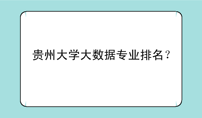 贵州大学大数据专业排名？